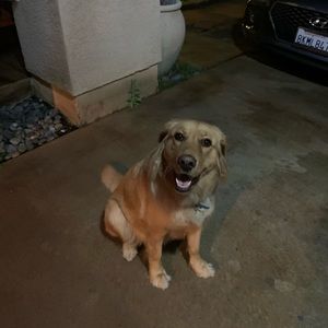 Meet your Posher, Oracio